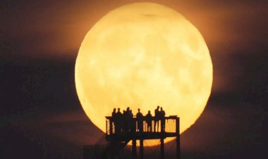 İklim bilimciler uyarıyor:: ‘İklim krizinin insan neslini yok etme riski var’