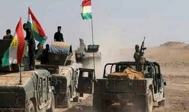 Peşmerge ile Irak Ordusu'nun IŞİD'e karşı ortak operasyonları sürecek