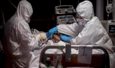 Maymun çiçeğinden ilk ölüm gerçekleşti