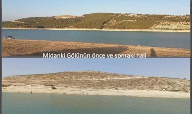 Silahlı gruplar Efrin’de 650 bin ağacı kesti