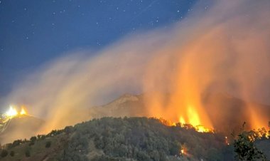 Dersim’in Ovacık ilçesinde orman yangını