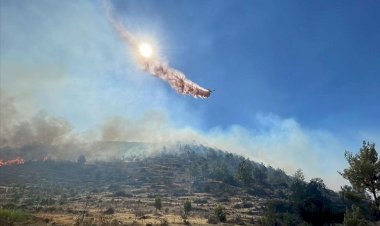 Mersin’deki orman yangını rüzgarın etkisiyle yayılıyor