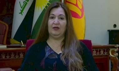 KDP'li Viyan Sebri'den, yeni ittifaka ilişkin açıklama