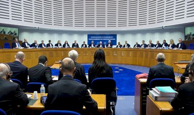 AİHM, DSG ile birlikte IŞİD’e karşı savaşan Danimarkalıya verilen cezayı haklı buldu