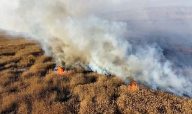 Şemdinli'de 7 Bin Bağ Ot Ve 13 Ton Saman Kül Oldu