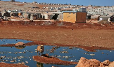 HRW'den 'Rojava' uyarısı: Türkiye, Suriye'deki kolera salgınını kötüleştirdi
