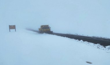 Muş'ta mevsimin ilk karı etkili oldu; mücadele başladı