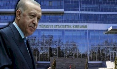 Erdoğan, TÜİK başkan yardımcısını görevden aldı