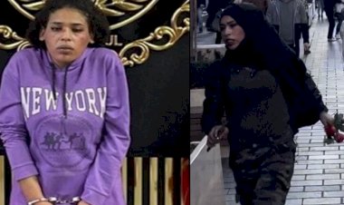 Ahlam Albashir’in ifadesinden yeni detaylar: Ağabeyim ÖSO'da üst düzey komutan,, YPG beni korkuttu