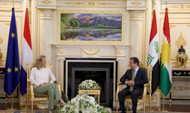 Hollanda, Peşmerge Güçleri'ne desteğini yineledi
