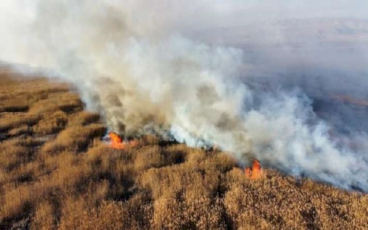 Şemdinli'de 7 Bin Bağ Ot Ve 13 Ton Saman Kül Oldu