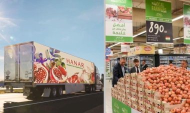 Kürdistan narları, Arap ülkeleri ve İngiltere’ye ihraç ediliyor