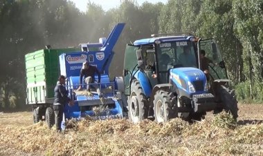 Ahlat Türkiye’nin üçüncü fasulye üretim merkezi oldu