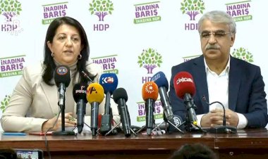 HDP'den Fransa’ya çağrı: Gerçeği ivedilikle aydınlatın