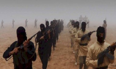 ‘ABD IŞİD’in geri döneceği uyarısında bulundu’