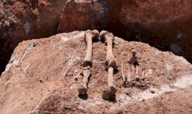 'JİTEM Karargahı' olduğu iddia edilen yerde insan kemikleri bulundu