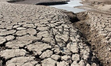 Kürt illerinde şiddetli kuraklık kabusu...