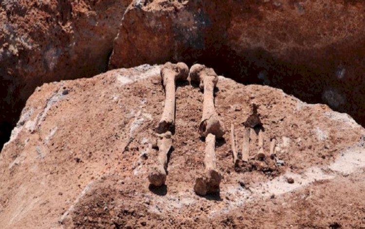 'JİTEM Karargahı' olduğu iddia edilen yerde insan kemikleri bulundu