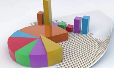 Yılın son anketi Diyarbakır'dan