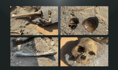 HDP Van milletvekili Zilan Vadisi'nde çıkan kemikleri Meclis'e taşıdı