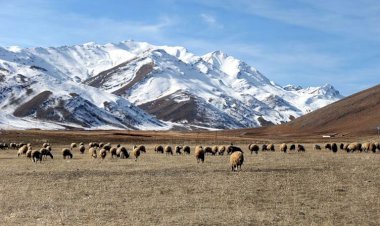Van'da son yılların en kurak kışı yaşanıyor