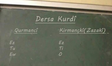 AK Parti ve DEVA Partililerden Kürtçe seçmeli ders çağrısı