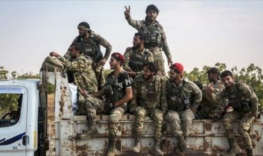 Türkiye destekli SMO, Efrin’de 800 zeytin ağacını kesti