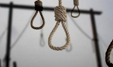 2022’de en az 52 Kürt idam edildi