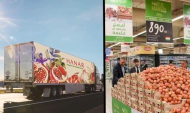 Kürdistan narını ihracat fikri belgesel konusu oldu