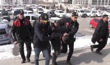 Van'da 9 yaşındaki çocuğa saldırarak ölümüne neden olan köpeğin sahibi tutuklandı