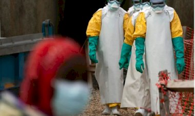 Ekvator Ginesi, ilk Marburg virüsü vakasını doğruladı