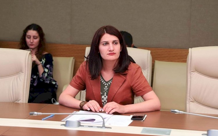Anayasa Mahkemesi'nden HDP'li Semra Güzel'in başvurusuna ret
