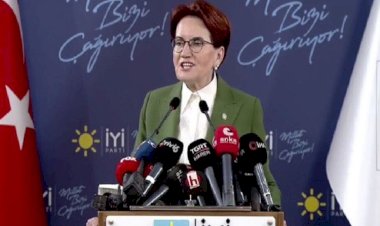 İYİ Parti'de istifa dalgası: e-Devlet sistemi tıkandı