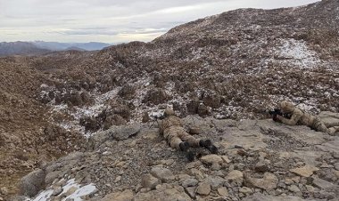 Şırnak'ta askeri operasyon başlatıldı