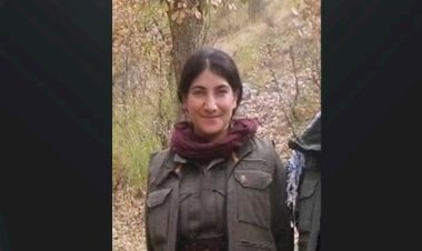 Soylu’nun ‘Türkiye’deki en üst düzey PKK’li’ dediği Hamiyet Yalçınkaya hayatını kaybetti