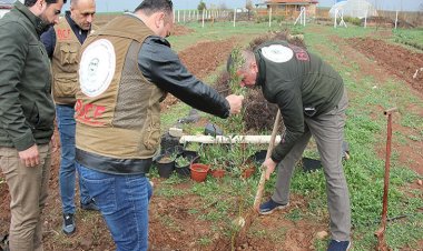 Mele Mustafa Barzani anısına Diyarbakır’da fidan dikildi