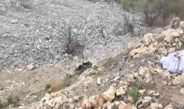 Duhok’ta helikopterin düştüğü bölgede 2 cenaze daha bulundu