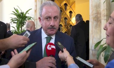 Şentop'tan Kürtçe açıklaması: 'Bilinmeyen dil' değil, 'Türkçe olmayan kelime' yazılıyor