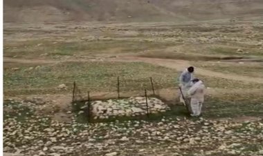 Şengal’de bir toplu mezar daha bulundu