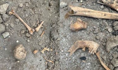 Van'da inşaat kazısında insan kemikleri çıktı