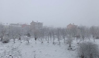 Diyarbakır, Hakkari ve Muş dahil bölge illeri kar altında!