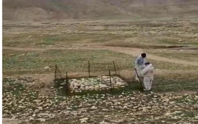 Şengal’de bir toplu mezar daha bulundu