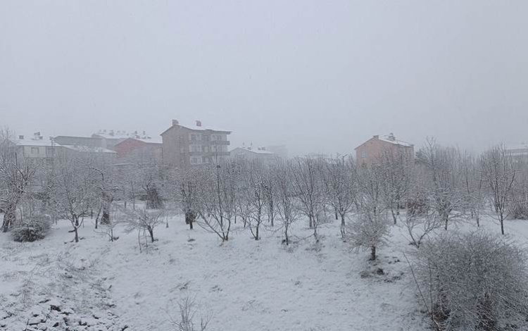 Diyarbakır, Hakkari ve Muş dahil bölge illeri kar altında!