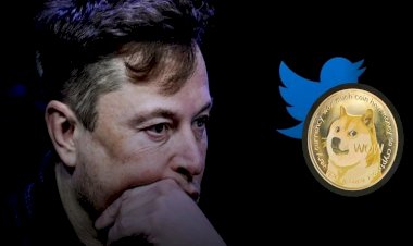 Elon Musk, Twitter'ın logosunu değiştirdi
