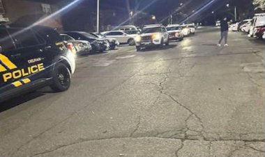 ABD'de Kürdistan bayrağı ile Newroz’u kutlayan aileye ırkçı saldırı