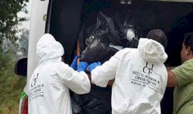 Meksika'da bir çukurda 20 ceset bulundu