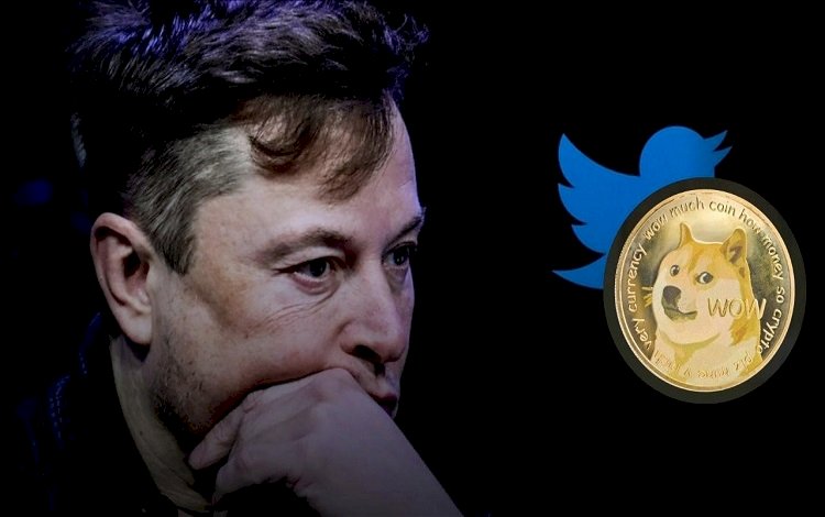 Elon Musk, Twitter'ın logosunu değiştirdi