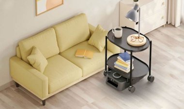 Japonya'da sözlü komutla eşya taşıyan ev robotu satışa çıktı