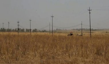 Irak ordusundan Kerkük’te Kürt çiftçilere engel