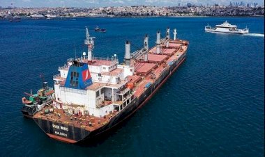 Ukrayna: Tahıl Girişimi yine durduruldu